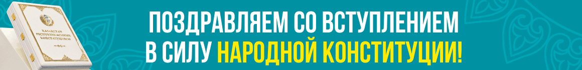 Новая конституция вступает в силу с 1 июля