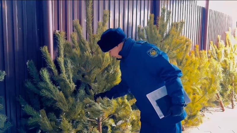 Изображение записи