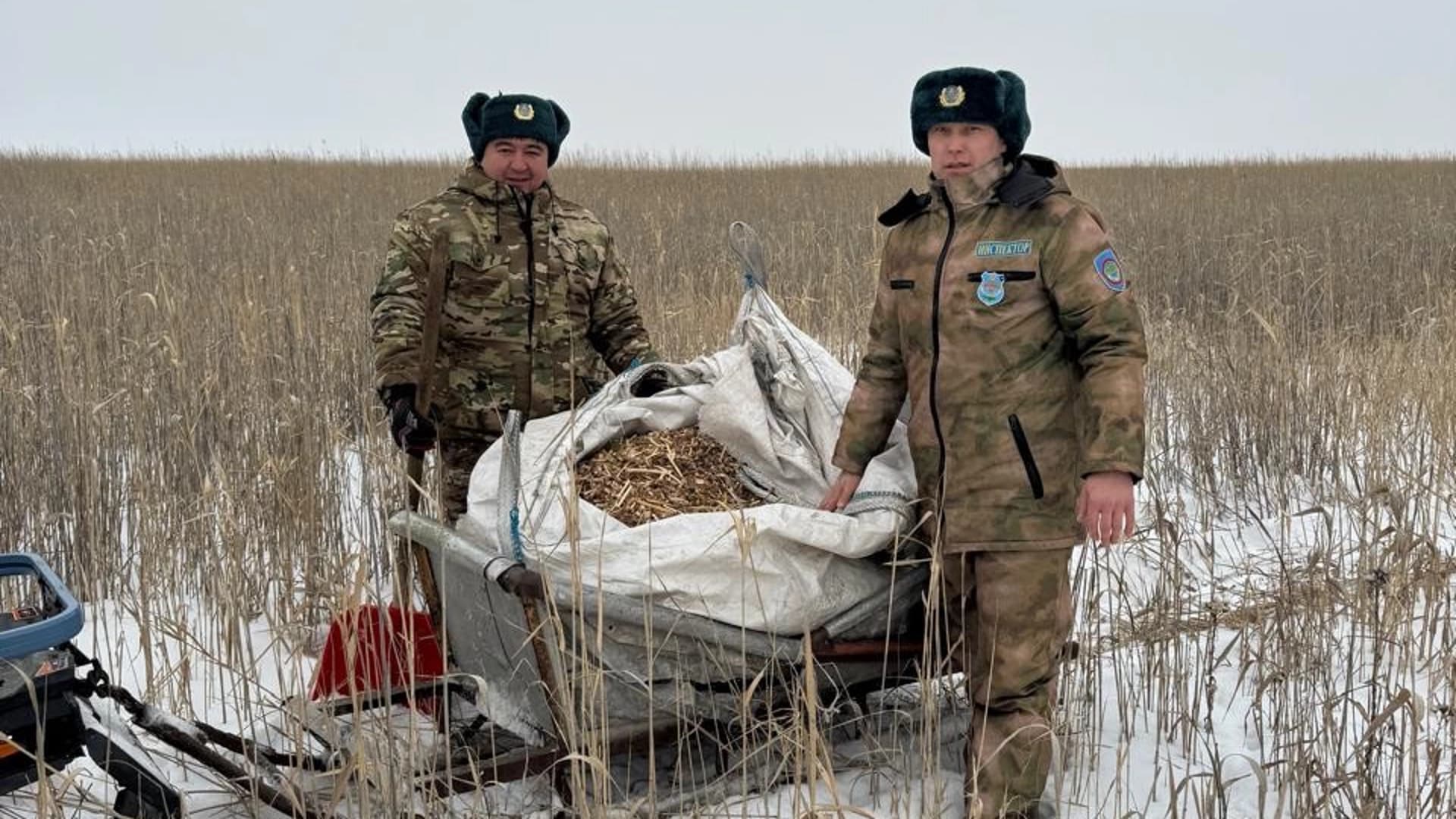 Изображение записи