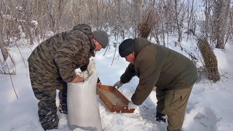Изображение записи