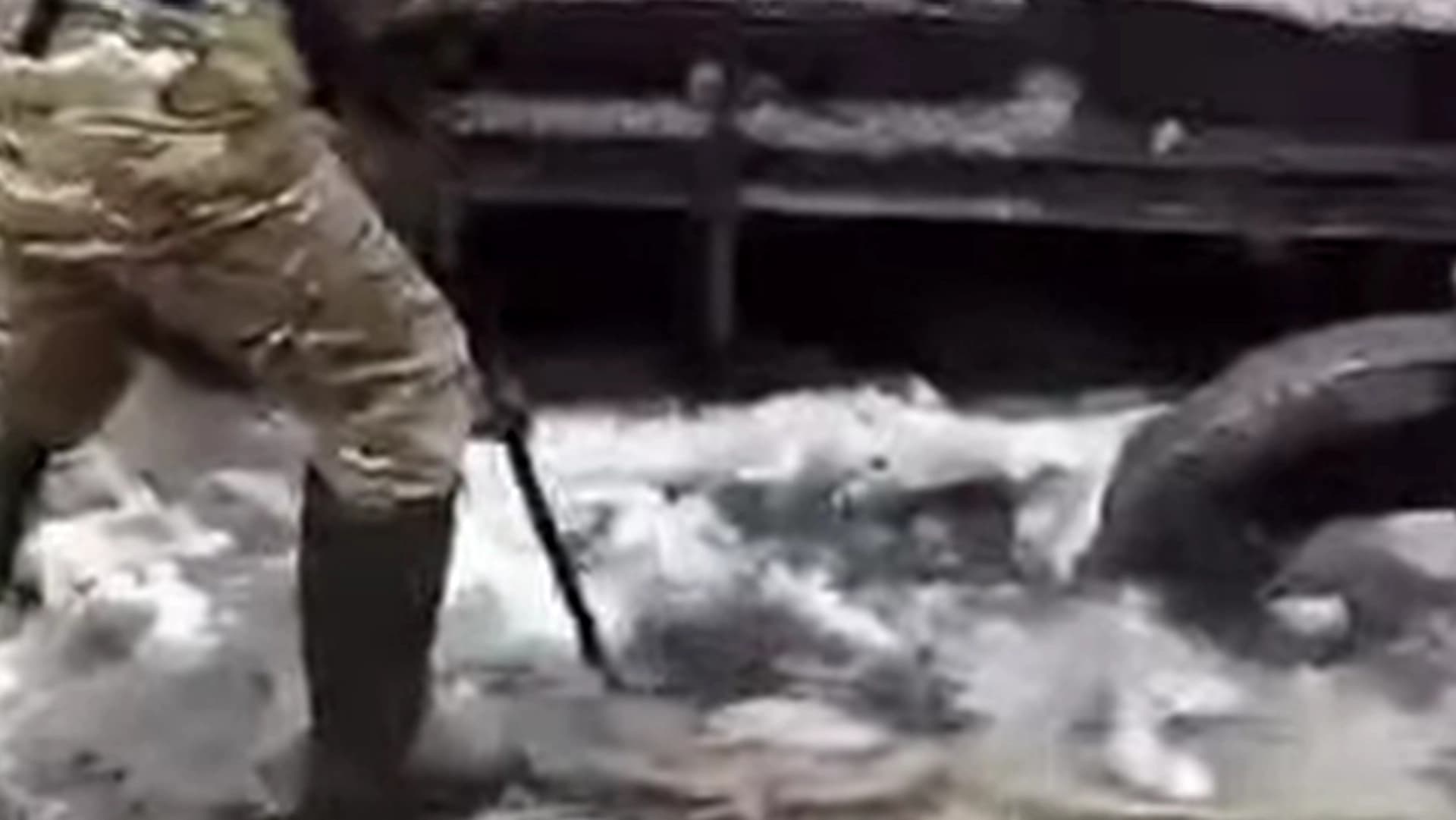 Изображение записи