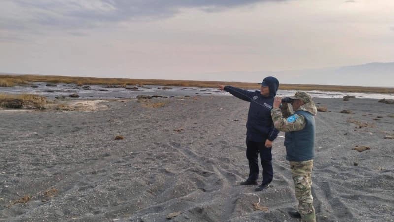 Изображение записи