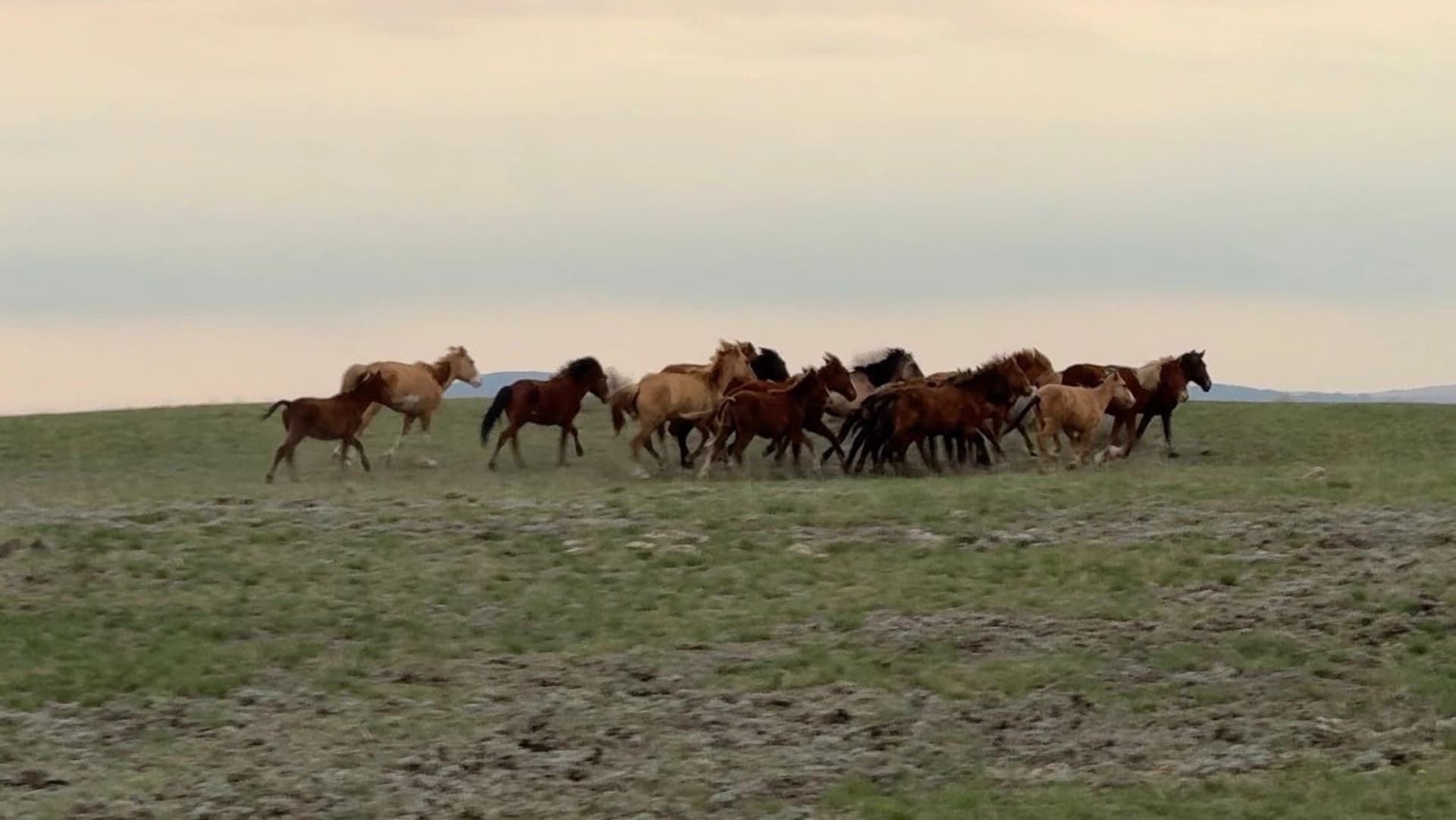 Изображение записи