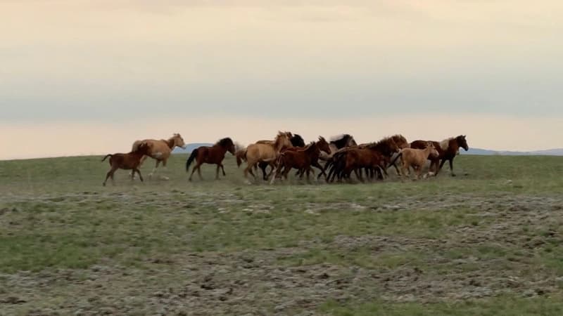 Изображение записи
