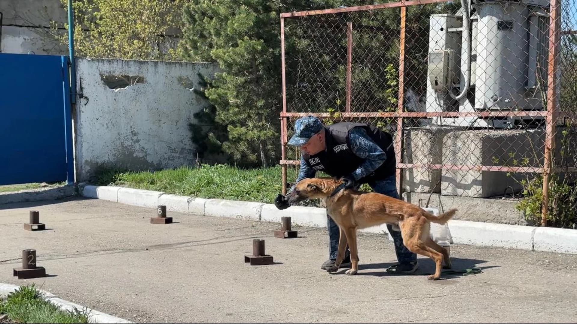 Изображение записи