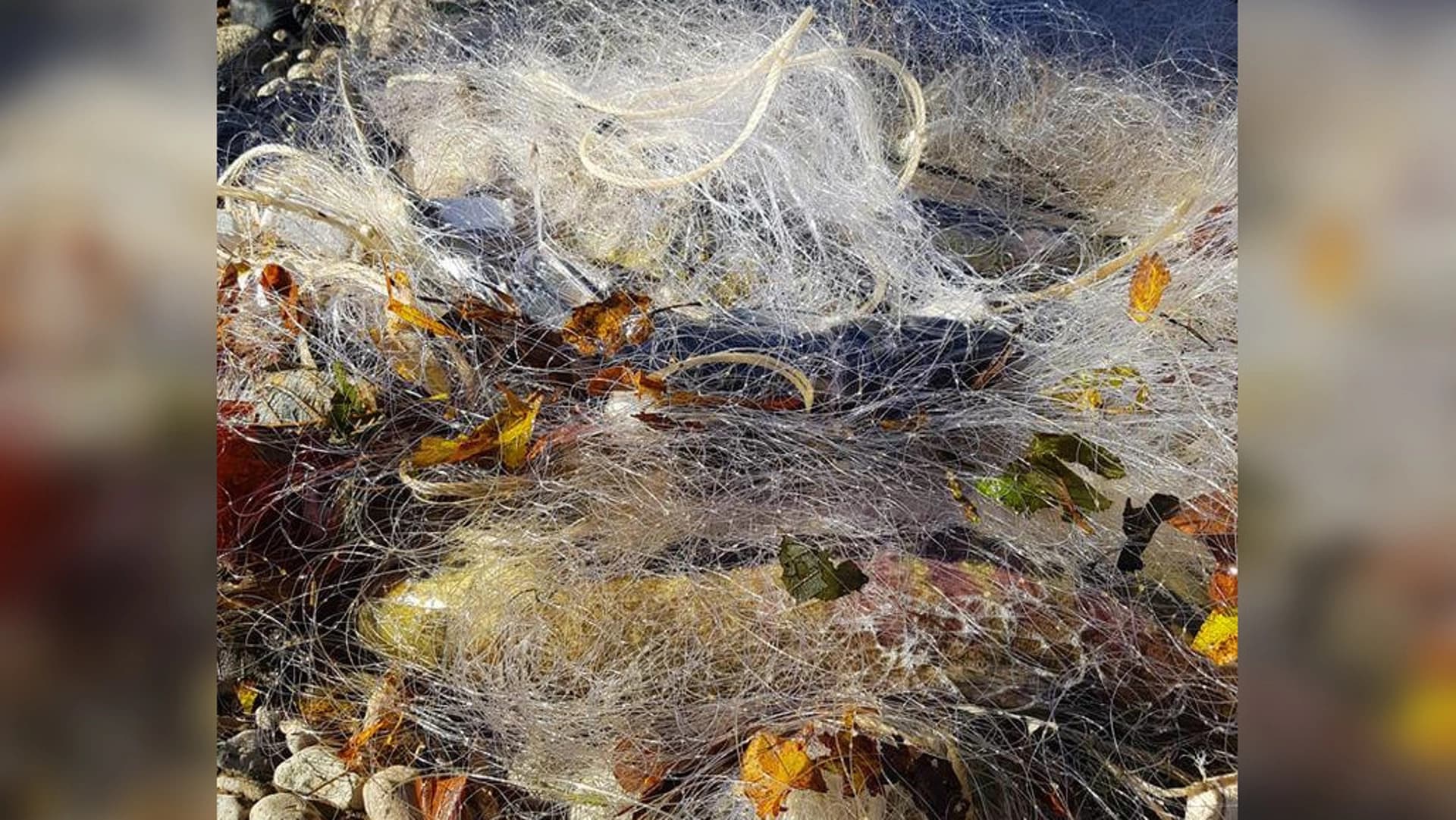 Изображение записи